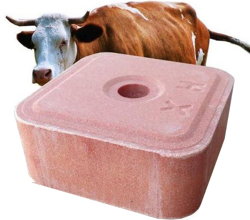 animal licking salt block 